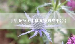 手机竞技（手机竞技对战平台）