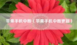 苹果手机中断（苹果手机中断更新）