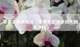 苹果手机换听筒（苹果手机换听筒大概多少钱）