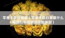 苹果手机白屏幕（苹果手机白屏幕什么原因打电话微信还能听到）