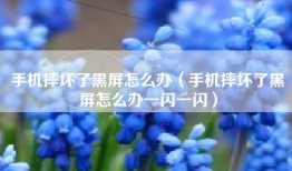 手机摔坏了黑屏怎么办（手机摔坏了黑屏怎么办一闪一闪）