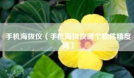 手机海拔仪（手机海拔仪哪个软件精度高）