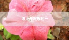 职业生涯规划一