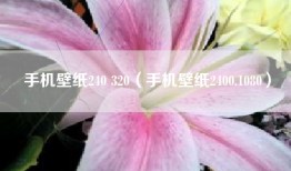 手机壁纸240 320（手机壁纸2400.1080）