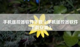 手机遥控器软件下载（手机遥控器软件下载安装）