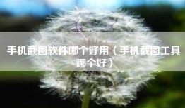手机截图软件哪个好用（手机截图工具哪个好）