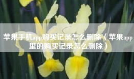 苹果手机app购买记录怎么删除（苹果app里的购买记录怎么删除）
