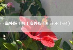海外版手机（海外版手机连不上wifi）