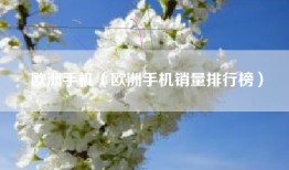 欧洲手机（欧洲手机销量排行榜）
