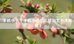 手机小卡（手机小卡怎么放到大卡手机里）