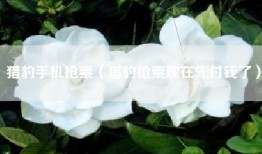 猎豹手机抢票（猎豹抢票现在先付钱了）