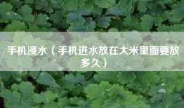 手机浸水（手机进水放在大米里面要放多久）