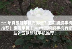 2023年真旗舰手机有哪些？五款旗舰手机推荐！旗舰手机「2023年真旗舰手机有哪些？五款旗舰手机推荐！」