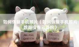 如何恢复手机照片（如何恢复手机照片数据没有云备份）