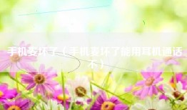 手机麦坏了（手机麦坏了能用耳机通话不）