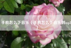 手机怎么下音乐（手机怎么下音乐到mp3）