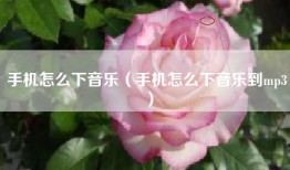 手机怎么下音乐（手机怎么下音乐到mp3）