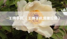 王牌手机.（王牌手机清理垃圾）