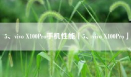 5、vivo X100Pro手机性能「5、vivo X100Pro」