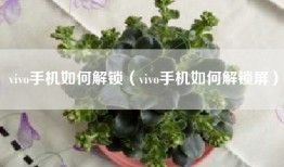 vivo手机如何解锁（vivo手机如何解锁屏）
