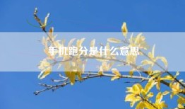 手机跑分是什么意思