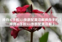 神舟4G手机X55参数配置详解神舟手机「神舟4G手机X55参数配置详解」