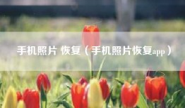手机照片 恢复（手机照片恢复app）