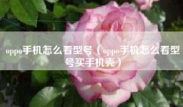 oppo手机怎么看型号（oppo手机怎么看型号买手机壳）