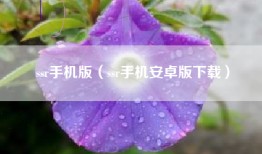 ssr手机版（ssr手机安卓版下载）