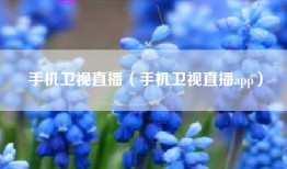 手机卫视直播（手机卫视直播app）