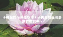 手机金属探测器软件（手机金属探测器软件有哪些）