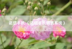 诺信手机.（诺信手机销售系统）