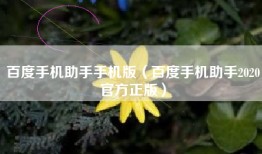 百度手机助手手机版（百度手机助手2020官方正版）