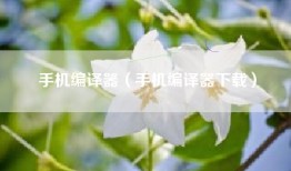 手机编译器（手机编译器下载）