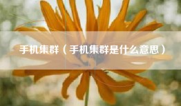 手机集群（手机集群是什么意思）