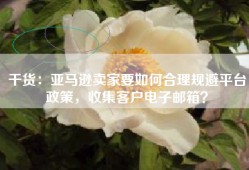 干货：亚马逊卖家要如何合理规避平台政策，收集客户电子邮箱？