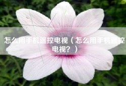 怎么用手机遥控电视（怎么用手机遥控电视？）