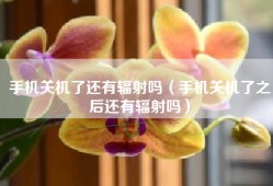 手机关机了还有辐射吗（手机关机了之后还有辐射吗）