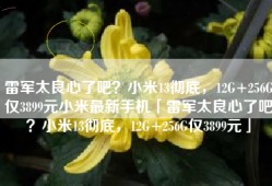 雷军太良心了吧？小米13彻底，12G+256G仅3899元小米最新手机「雷军太良心了吧？小米13彻底，12G+256G仅3899元」