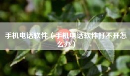 手机电话软件（手机电话软件打不开怎么办）