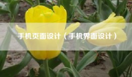 手机页面设计（手机界面设计）