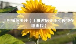 手机微信关注（手机微信关注的视频在哪里找）
