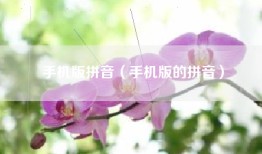 手机版拼音（手机版的拼音）