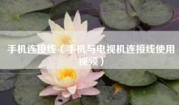 手机连接线（手机与电视机连接线使用视频）