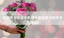 虚拟声卡软件手机版（虚拟声卡软件手机版3.1）