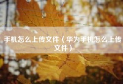 手机怎么上传文件（华为手机怎么上传文件）
