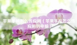 苹果手机怎么传应用（苹果手机怎么传应用到电脑）