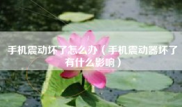 手机震动坏了怎么办（手机震动器坏了有什么影响）