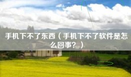 手机下不了东西（手机下不了软件是怎么回事？）