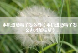 手机进酒精了怎么办（手机进酒精了怎么办才能恢复）